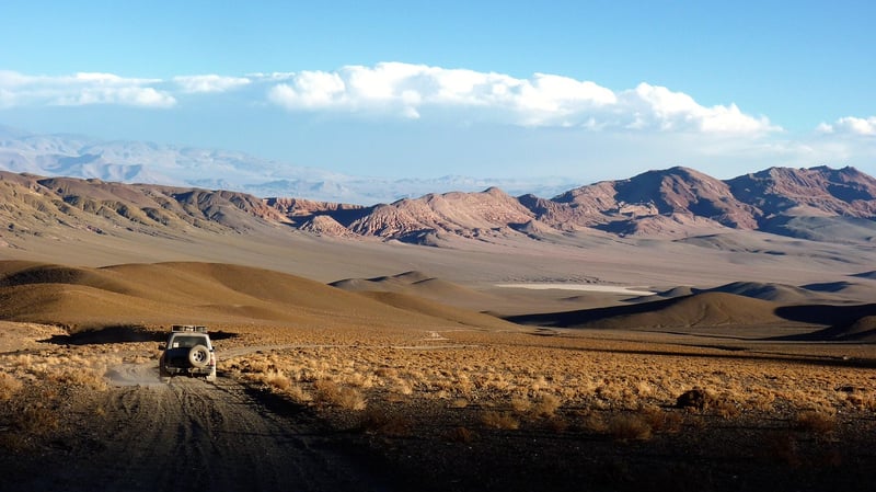 Wildlife Expeditions